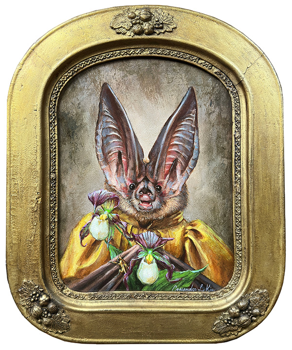 Miss Virginia Big-Eared Bat Acrylic and oil on ACM panel (9in. X 12in.) in a restored antique frame (14in. X 16in.) Featuring the Virginia big-eared bat, Kentucky lady’s slipper and Bethany beach firefly. 