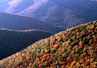 Photo of Blue Ridge in autumn colors