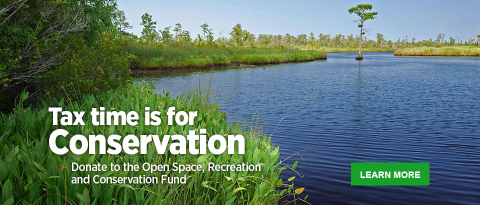 Donate to the Open Space, Recreation and Conservation Fund