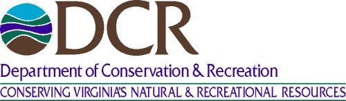 DCR logo graphic