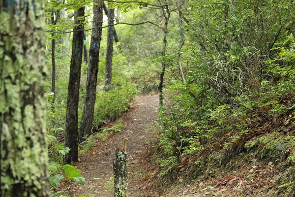 Photo of Poor Mountain Natural Area Preserve