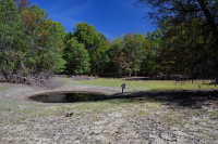 Shenandoah Valley Sinkhole Pond (Typic Type) – CEGL007858