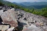 Central Appalachian Low-Elevation Acidic Nonvascular Cliff / Boulderfield – CEGL004142