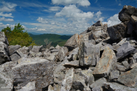 Central Appalachian Low-Elevation Acidic Nonvascular Cliff / Boulderfield – CEGL004142