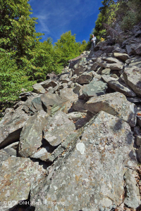 Central Appalachian Mafic Nonvascular Cliff / Boulderfield – CEGL004143