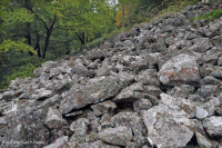 Central Appalachian Mafic Nonvascular Cliff / Boulderfield – CEGL004143