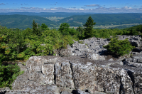 Central Appalachian High-Elevation Acidic Nonvascular Boulderfield – CEGL004389