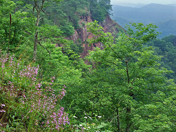 cliffs at Redrock Mountain Natural Area Preserve
