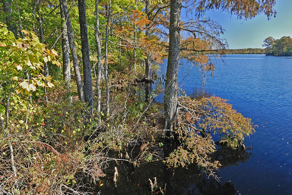 Northwest River Natural Area Preserve