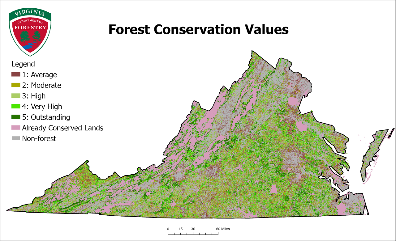 forest conservation value map