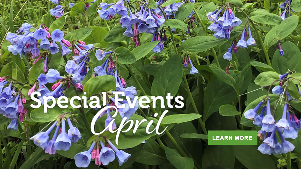 April events in Virginia State Parks