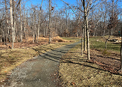 trail in the Town of Leesburg