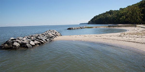 Shoreline conservation