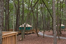 Claytor Lake yurt
