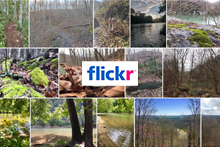 Flicker photos for Clinch River State Park