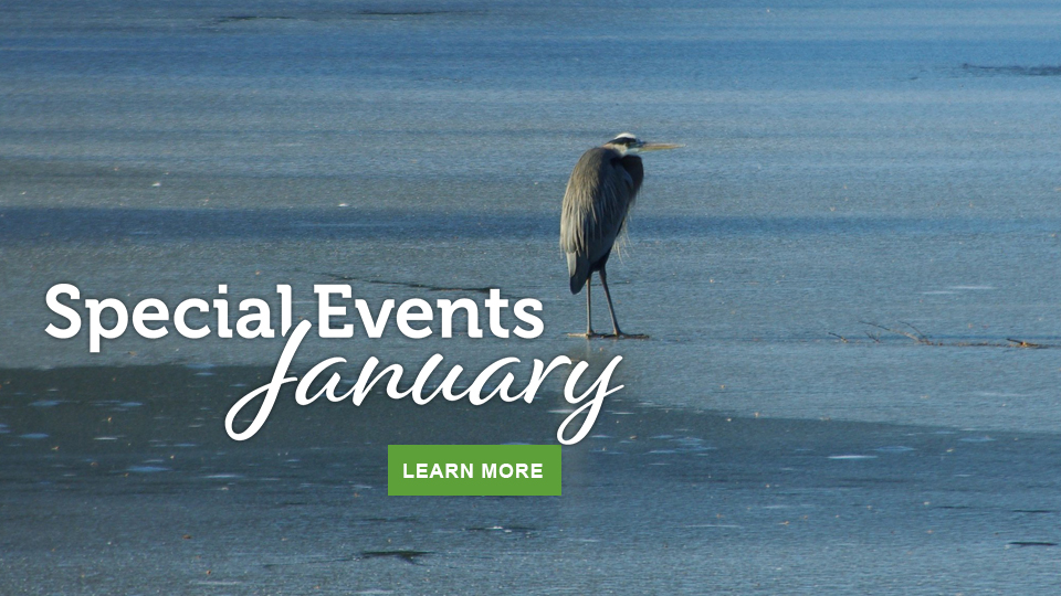 January events in Virginia State Parks Januray events in Virginia State Parks
