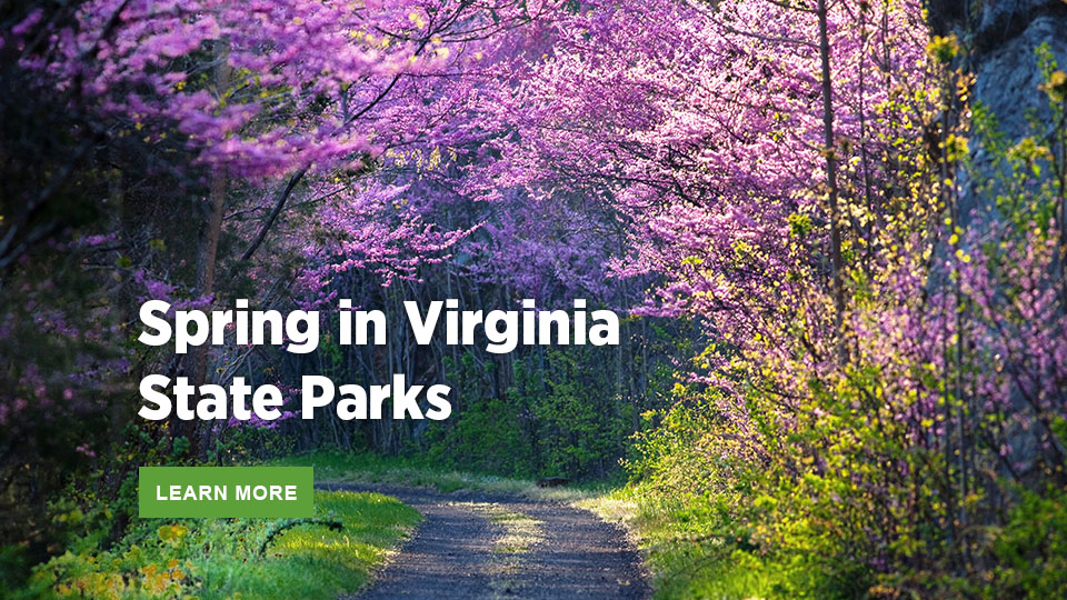 Spring in Virginia State Parks Spring in Virginia State Parks