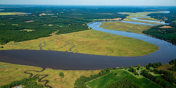 The Mattaponi River winds through freshwater wetlands in King and Queen County, Va., on Aug. 24, 2018. The Mattaponi eventually joins the Pamunkey River to form the York River. (Photo by Will Parson-Chesapeake Bay Program) Virginia Watershed