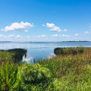 False Cape State Park