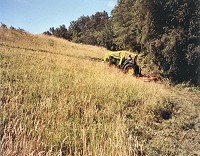 Grass on dams requires regular mowing.