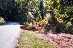 Dams and roads can suffer without proper control and maintenance of vegetation.