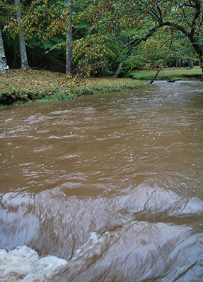 flooded creek