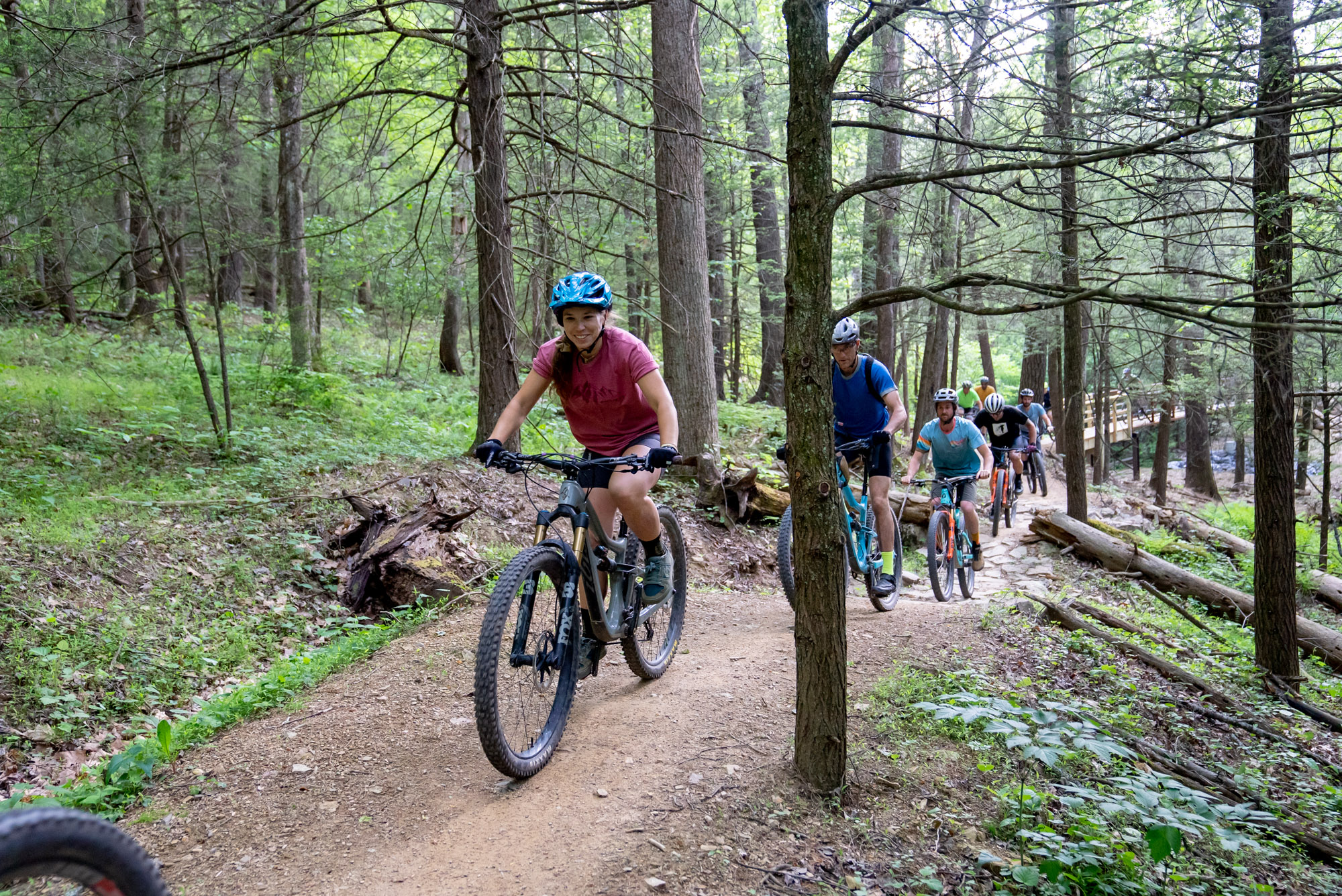 Photograph of cyclists riding on new trail in forest.