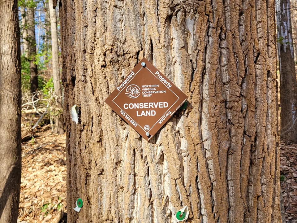 "Conserved Land" sign posted on a tree.