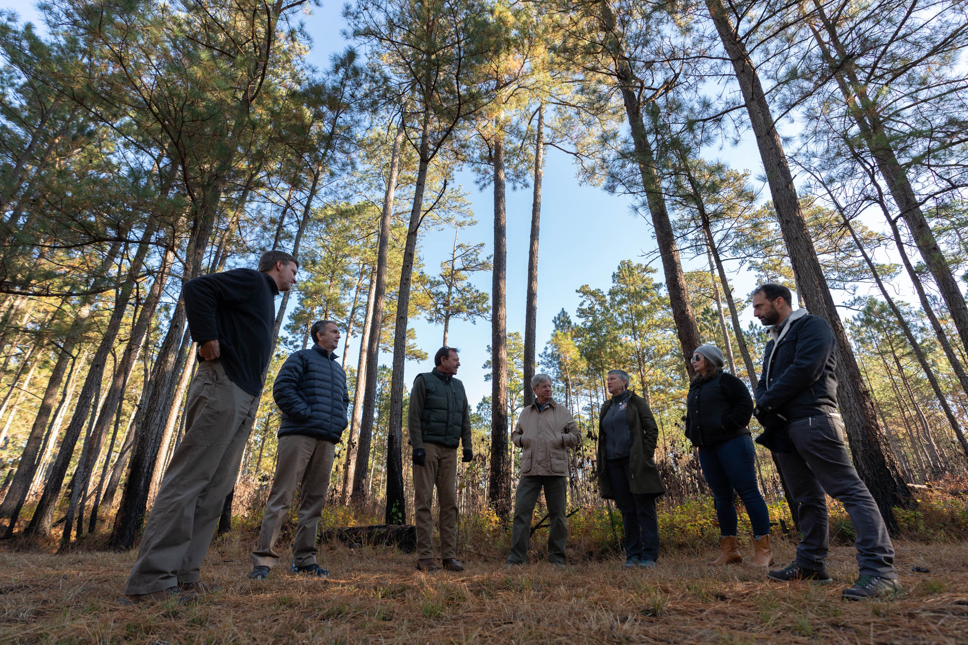 Tour of the Piney Groves Flatwood Natural Area Preserve