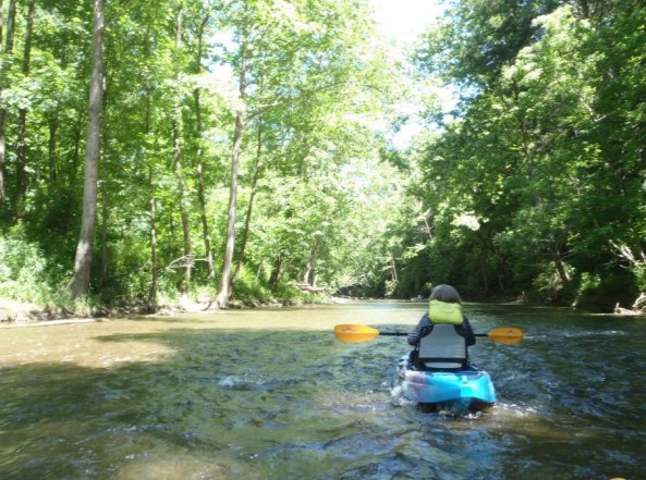 Kayaking on the pound. Photo Rick Barton