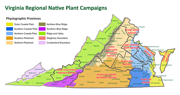 Map showing the different Virginia Regions for native planting 