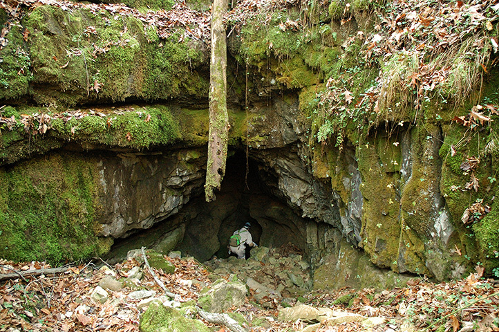 ogdens cave. photo by irvine t. wilson