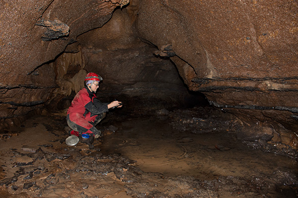 Two new isopods found in Tazewell County Maiden Spring area