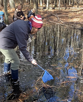 Examining a vernal pool