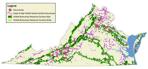 Wildlife Corridor map