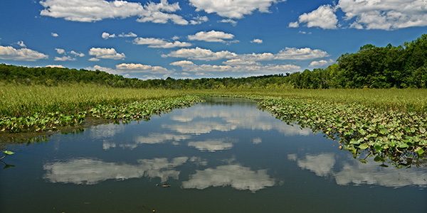 Crow's Nest Natural Area Preserve