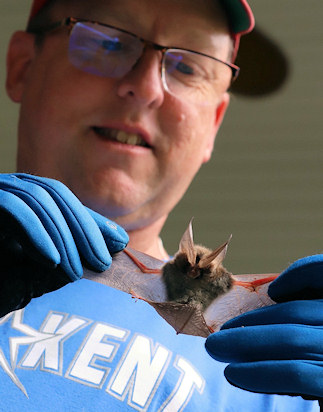 Field Zoologist Chris Hobson