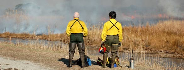 Prescribed burn