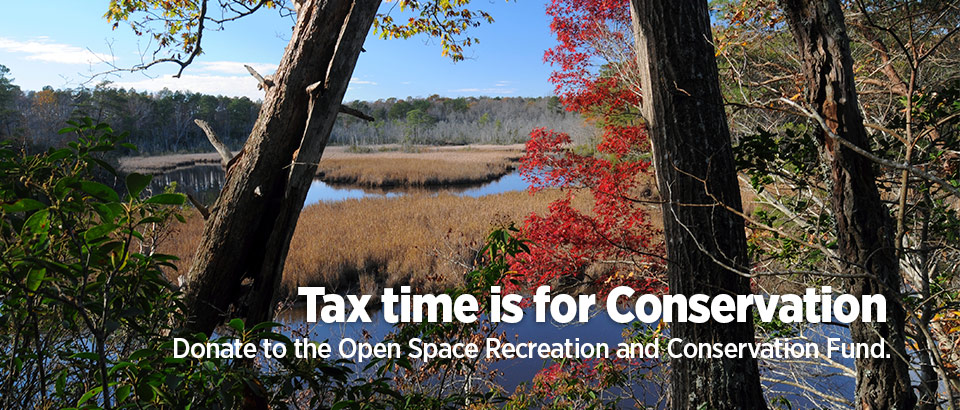 Department of Conservation and Recreation