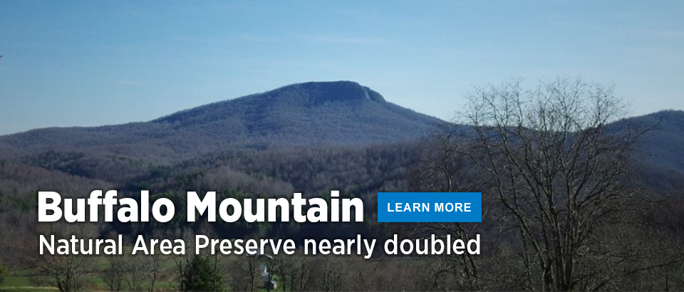 Buffalo Mountain Natural Area Preserve expands