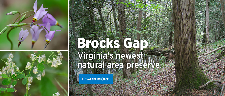 New Brocks Gap Natural Area Preserve