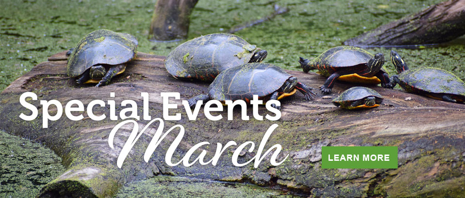 March Events in Virginia State Parks
