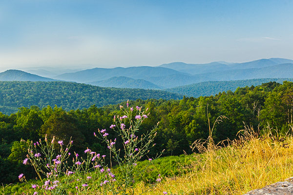 North District near Rattlesnake Point Overlook in Shenandoah National Park. NPS | N. Lewis