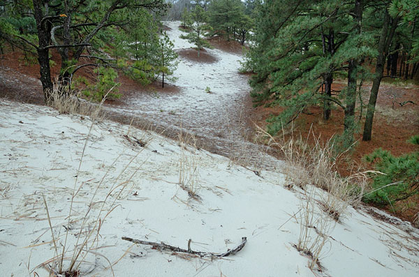 Savage Neck Dunes Natural Area Preserve