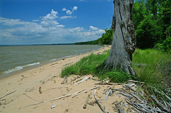 Chotank Creek Natural Area Preserve