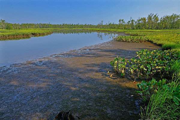 Cumberland Marsh Natural Area Preserve