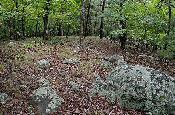 Grassy Hill Natural Area Preserve