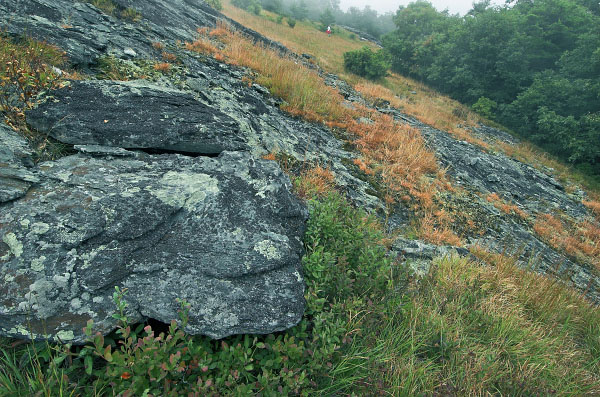 Buffalo Mountain Natural Area Preserve