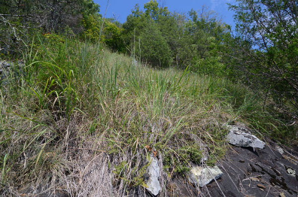 Naked Mountain Natural Area Preserve