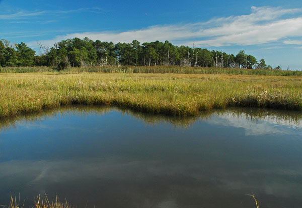 New Point Comfort Natural Area Preserve